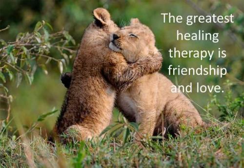 1-Healing and Friendship