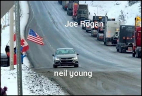 neil young10