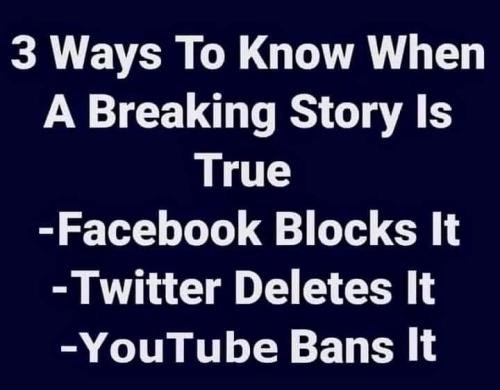 271275689_4917916968259697_640326227462200380_n