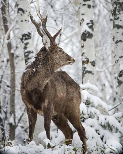 271131440_1740682636131079_6037583541269874833_n