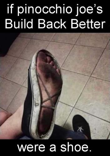 buildbackbetter29