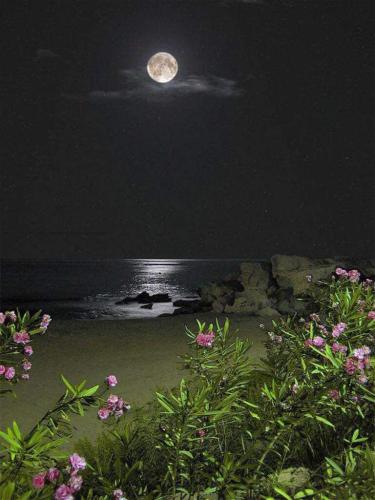 Dark Night Beach Full Moon