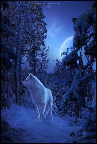 tumblr_2ab5c1abf24a63645ccacd7f579a697a_ffb57639_540