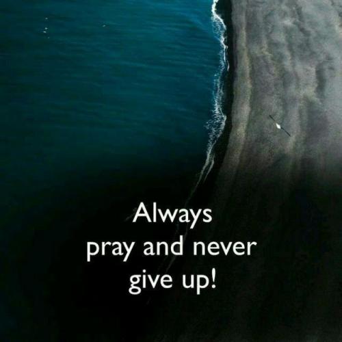 IMG_20220121_153128_188