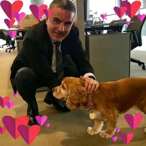 FB_IMG_16317340237497466