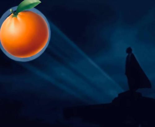 IMG_20220109_072442_155