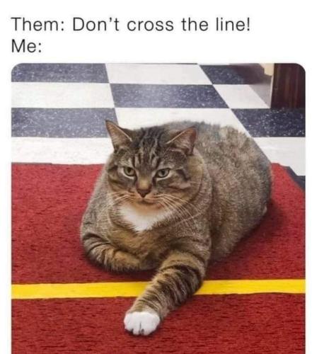 21:11:19 GMT-0500 (EST)