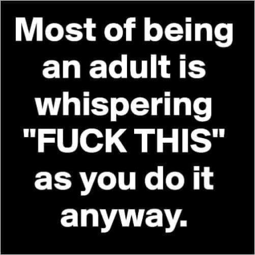 FB_IMG_1643568348256