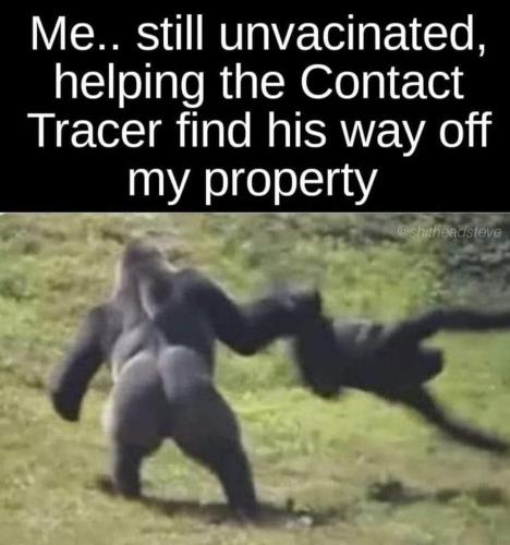 FB_IMG_1642604439764