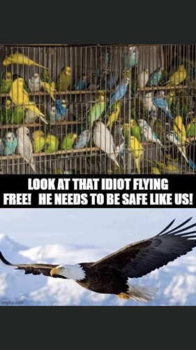 12:19:43 GMT-0500 (EST).image