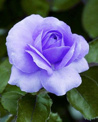 14:28:23 GMT-0600 (CST)