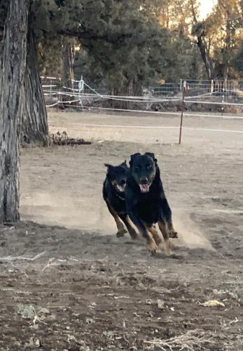 20:09:12 GMT-0800 (PST).image