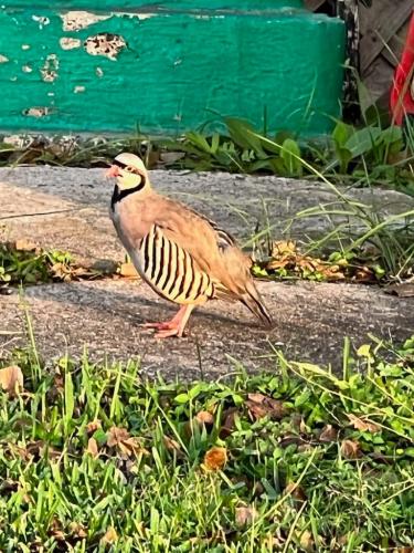 270226458_10160438709106988_5678570984433612134_n