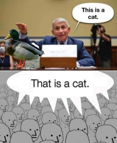 FB_IMG_1642560644184