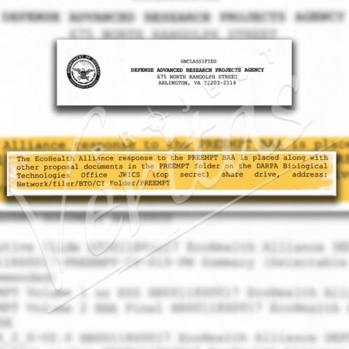 19:47:48 GMT-0600 (CST)