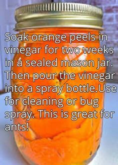 3716690e79a928fac5cfa5ac8f415c6b--bug-spray-bottle