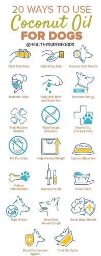 IMG_20220130_113333_155