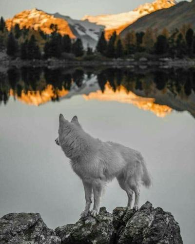 10:19:16 GMT-0600 (CST)