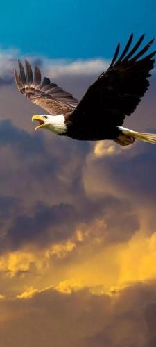 18:48:53 GMT-0600 (CST)