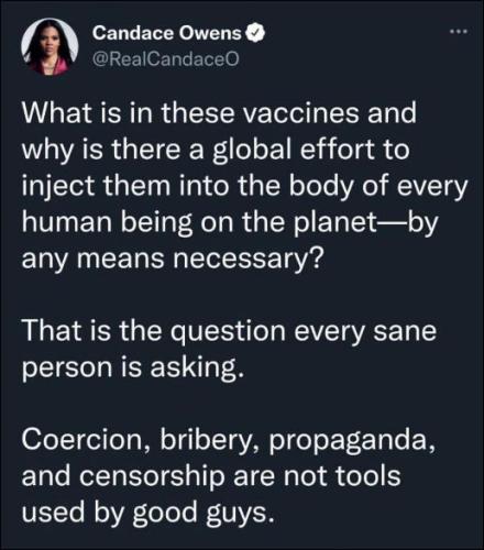 candace owens31