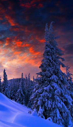 13:24:20 GMT-0600 (CST)