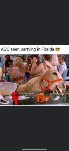 FB_IMG_1641564525206