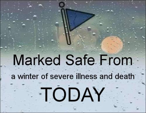 a winter of severe illness and death08