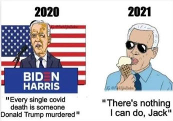 bullshit121