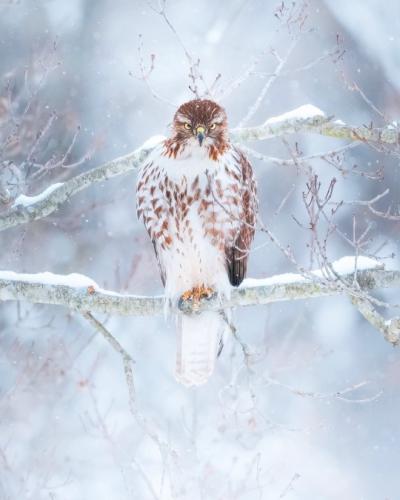 tumblr_a9830e5b2656b8a781082c63be6c6322_e495354a_540