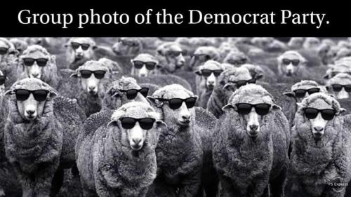 08:33:56 GMT-0500 (EST).image