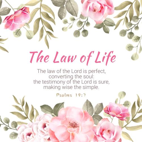 08:07:08 GMT-0500 (EST).*