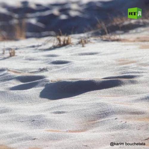 11:47:37 GMT-0600 (CST)