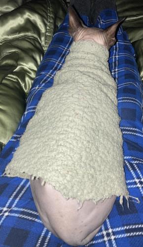 23:19:19 GMT-0500 (EST).image