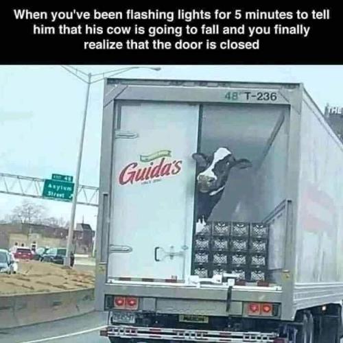 FB_IMG_1641594006482