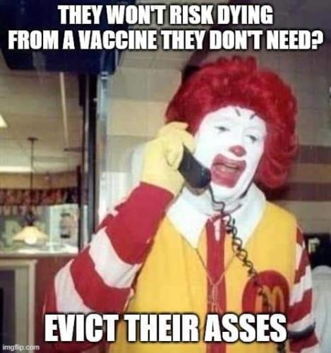 FB_IMG_1642211931795