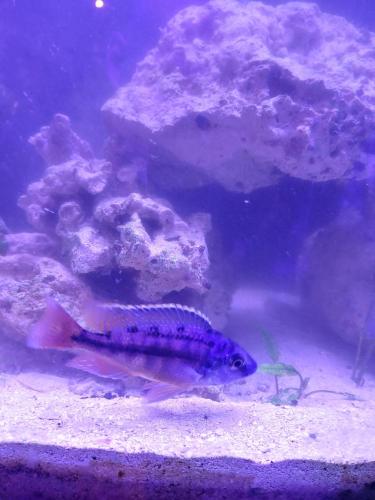 20220104_184032_HDR