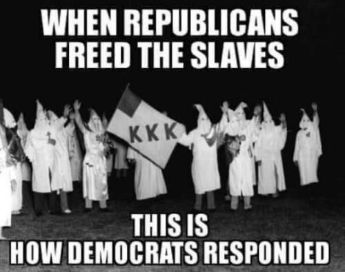 democrats486