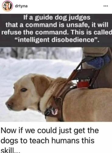 272254803_2121900894633252_9076656759016839983_n