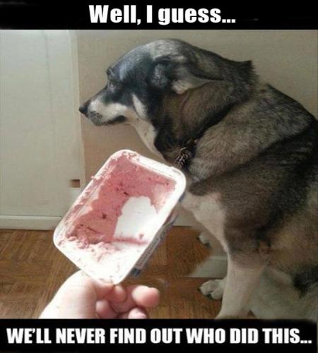 tumblr_5f319a08a984a6cb37478fc1e5be61ba_3b043866_1280