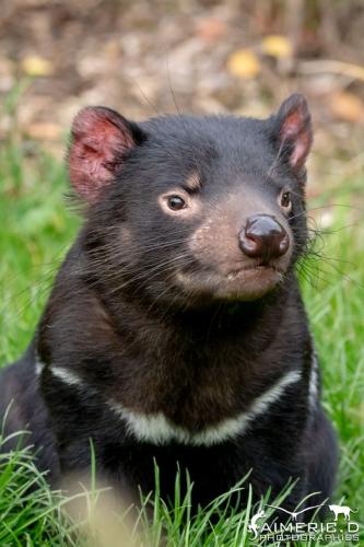 272041197_4691743987541747_3355600519433645694_n