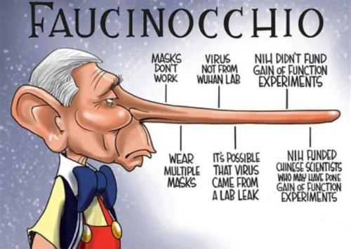 fauci172