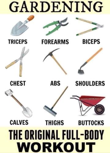 271057462_904512390250809_4547113812847438109_n