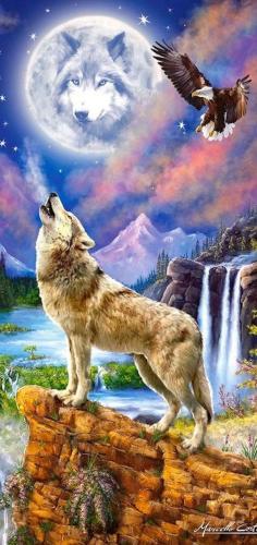 20:44:35 GMT-0600 (CST)