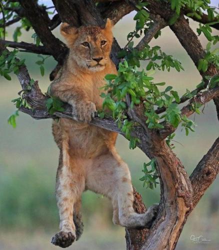 tumblr_ac36059d3e05423ca98f4259e9c2b4b2_e85632de_540