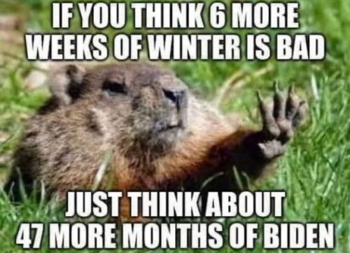 image_1642733981.577