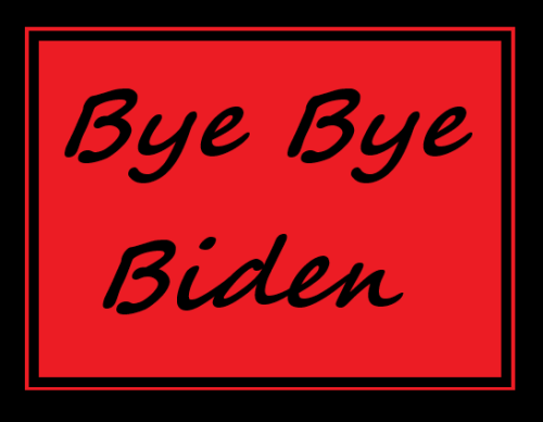 bye bye biden