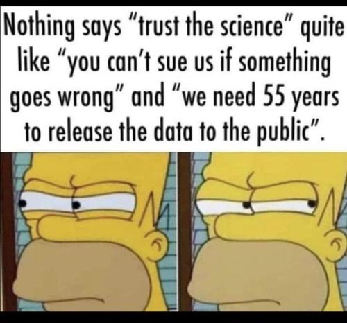 fb267855208_1433732263689446_8053582316311718014_n