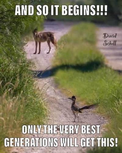 11:44:59 GMT-0600 (CST)