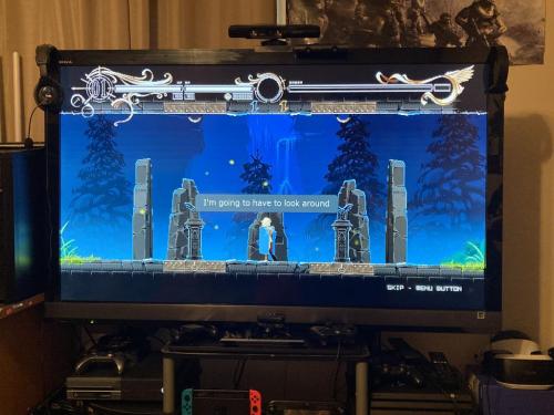 Deedlit in Wonder Labyrinth