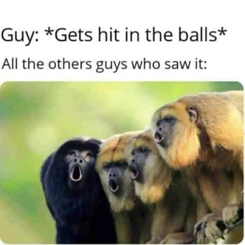FB_IMG_1641266006715